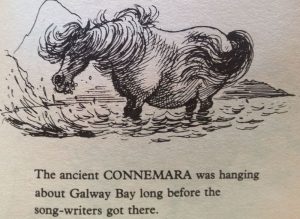 ancient-connemara
